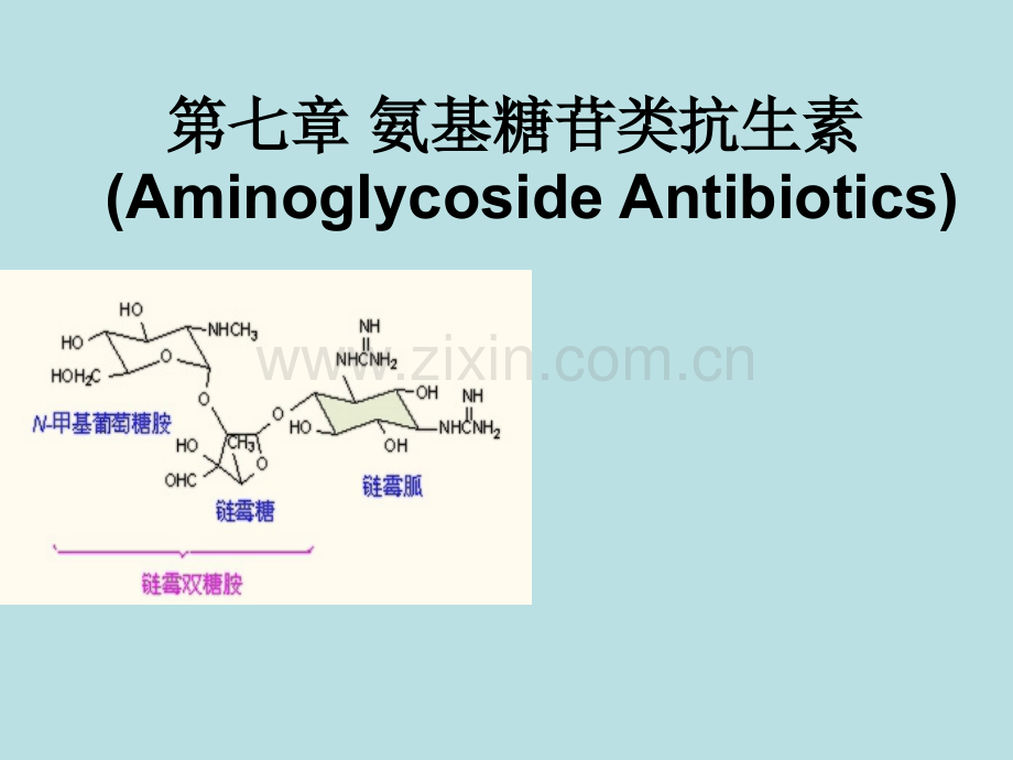 氨基糖苷类抗生素ppt课件.ppt_第1页