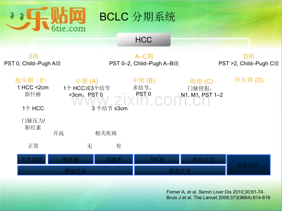 TACE联合靶向治疗.ppt_第3页