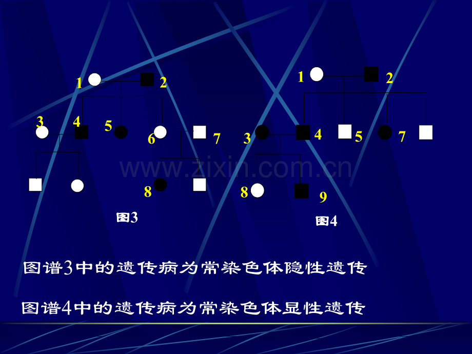 遗传性肾炎.ppt_第1页