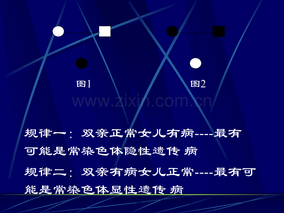 遗传性肾炎.ppt_第2页