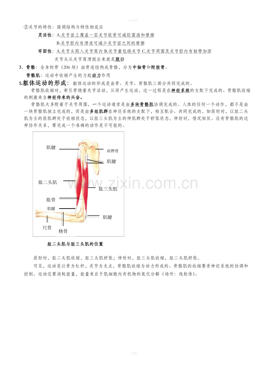 北师大八年级生物上册知识点总结.doc_第3页