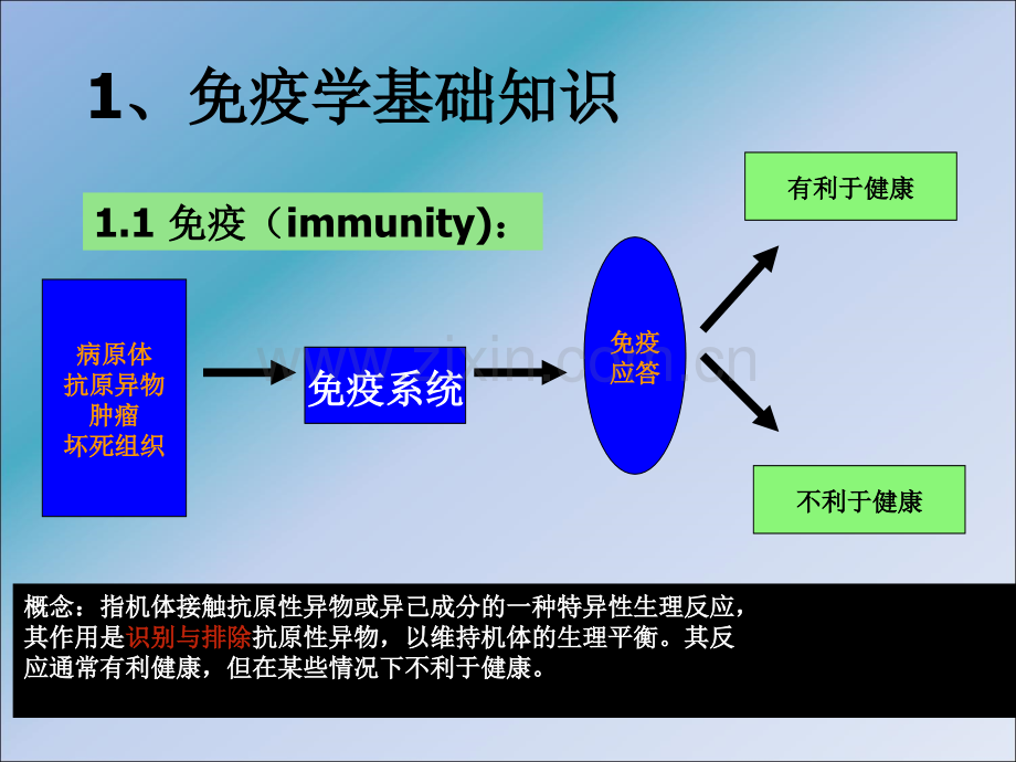 运动与免疫.ppt_第2页