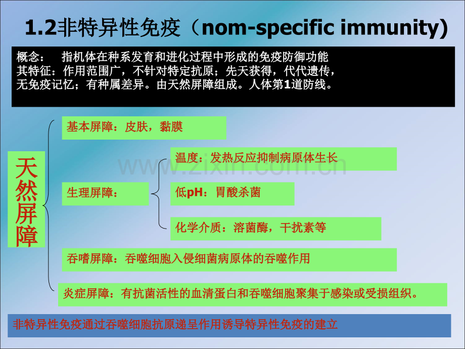 运动与免疫.ppt_第3页