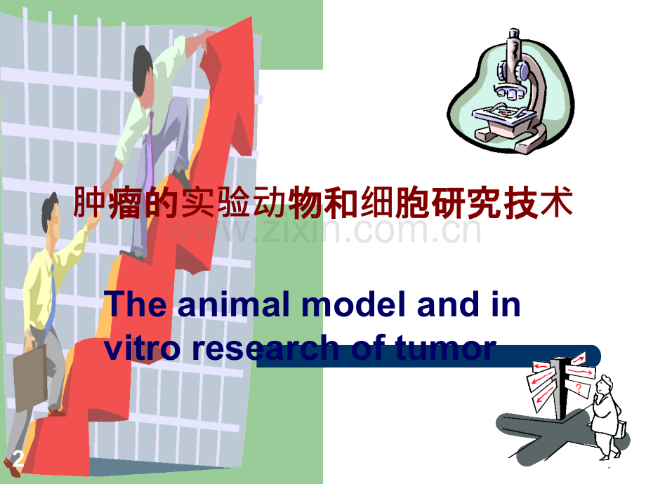 肿瘤研究方法.ppt_第2页