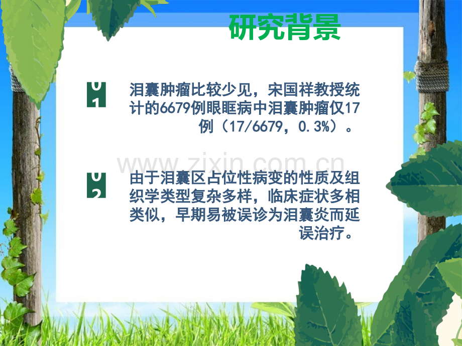 泪囊占位ppt课件.pptx_第2页