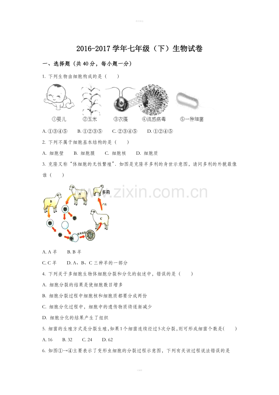 七年级下生物试题.doc_第1页