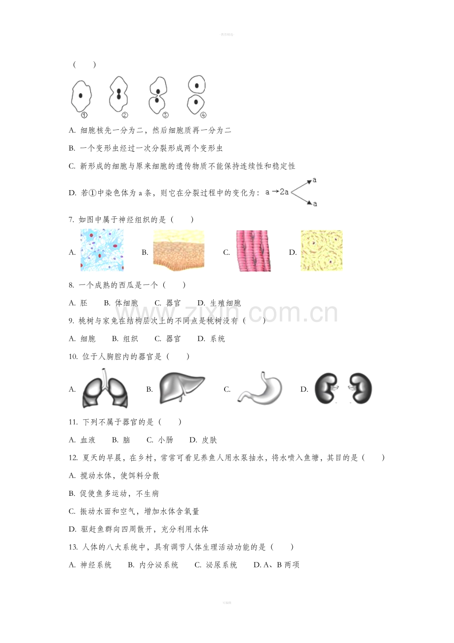 七年级下生物试题.doc_第2页