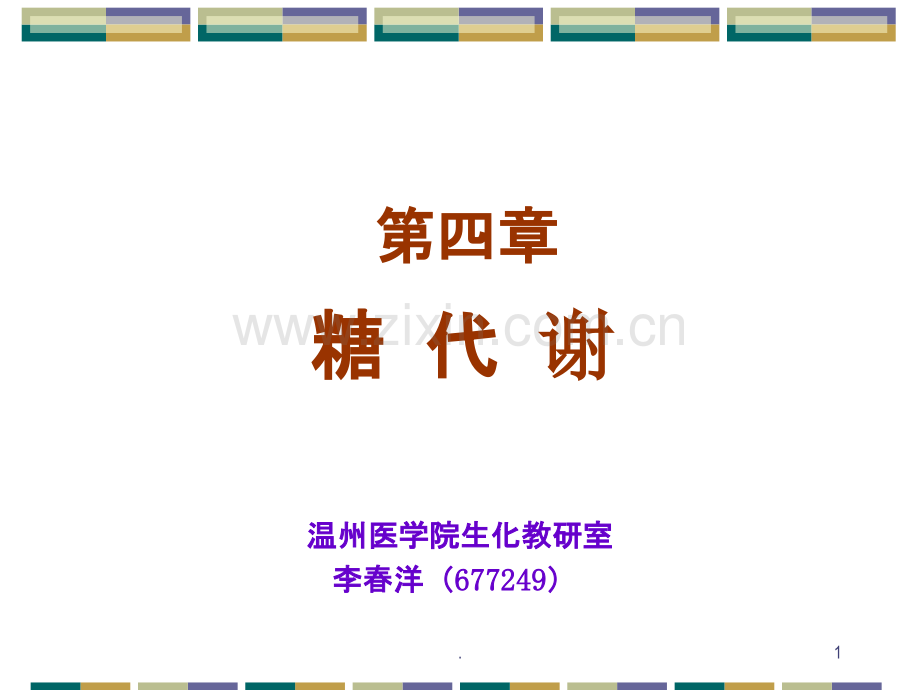 第四章-糖代谢PPT课件.ppt_第1页