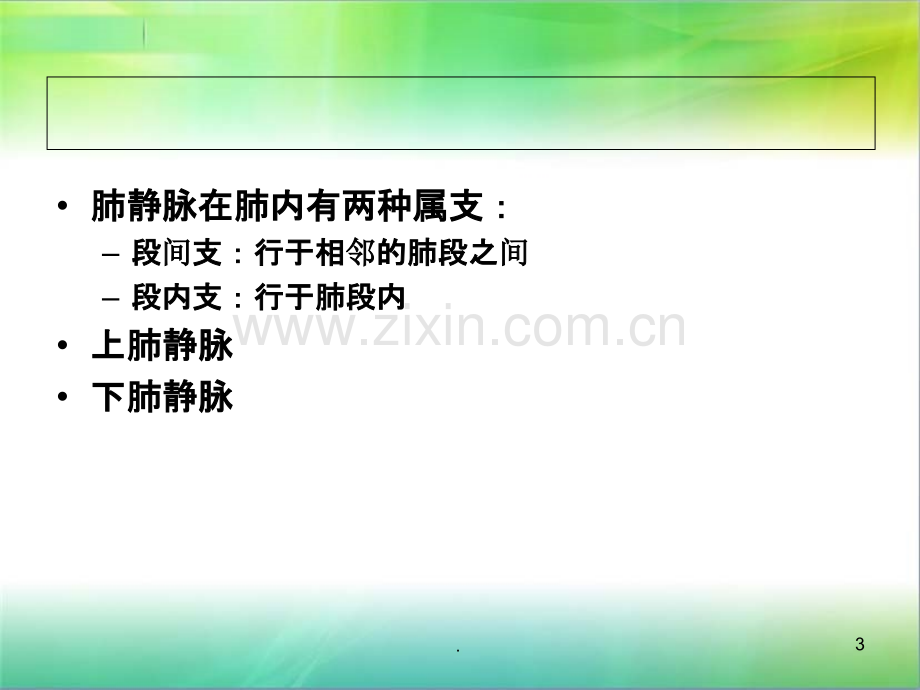 肺静脉影像.ppt_第3页