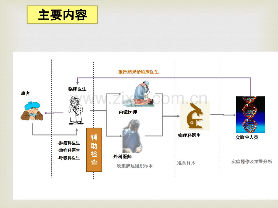 中国晚期原发性肺癌诊治专家共识解读-董文.pptx_第2页