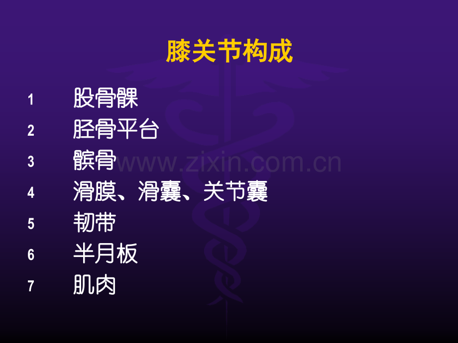 膝关节解剖.ppt_第3页