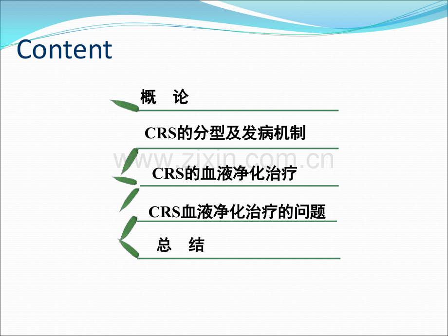 CRRT与心肾综合征.ppt_第2页