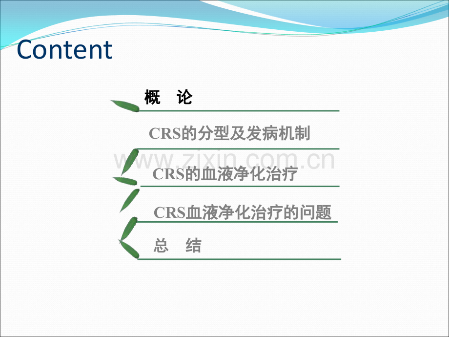 CRRT与心肾综合征.ppt_第3页