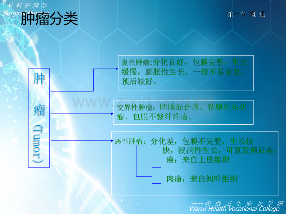 第十章-肿瘤病人的护理ppt课件.ppt_第3页