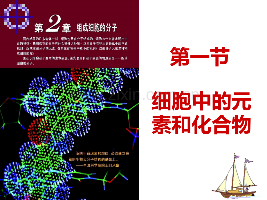 细胞中的元素和化合物课件.ppt_第1页