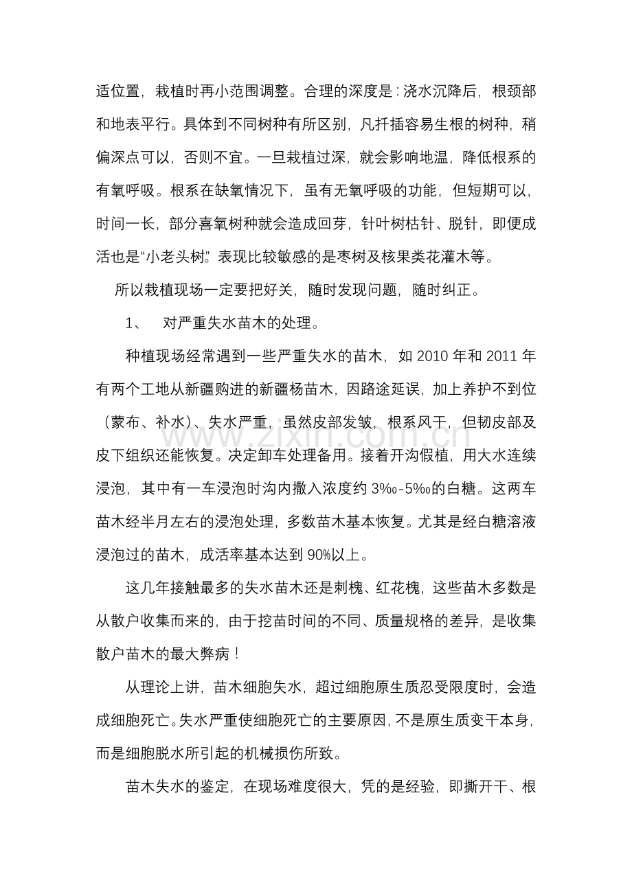 园林绿化施工注意事项及成活措施.doc_第3页