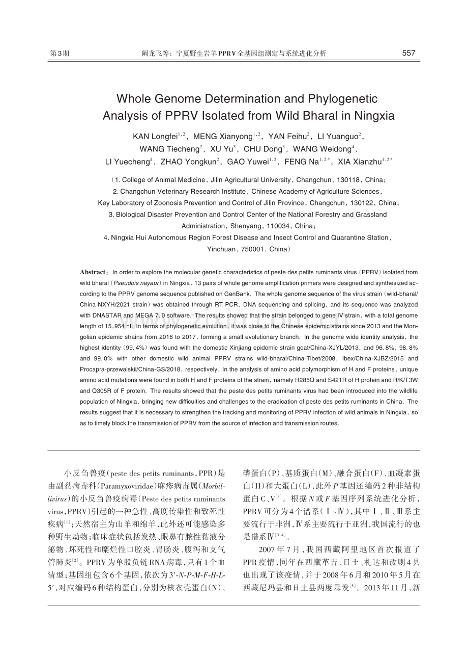 宁夏野生岩羊PPRV全基因组测定与系统进化分析.pdf_第2页