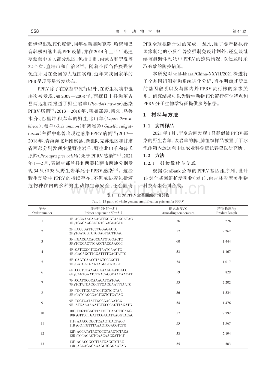 宁夏野生岩羊PPRV全基因组测定与系统进化分析.pdf_第3页