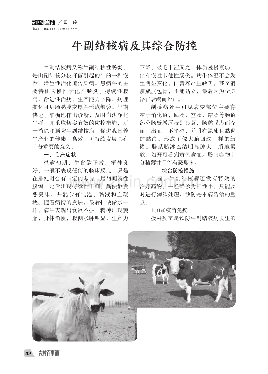 牛副结核病及其综合防控.pdf_第1页