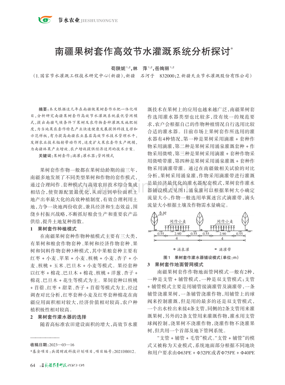 南疆果树套作高效节水灌溉系统分析探讨.pdf_第1页