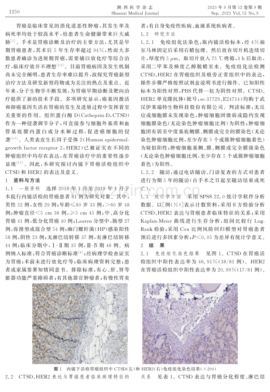 内镜下胃癌活检组织中组织蛋白酶D和人类表皮生长因子受体2表达及意义.pdf_第2页