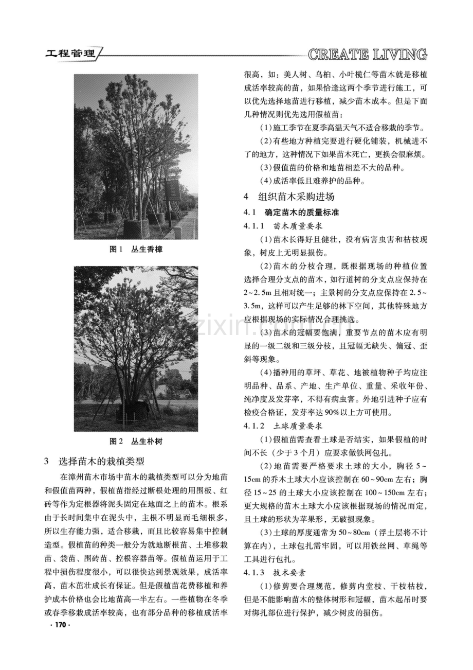 浅谈漳州住宅绿化中苗木的优化与采购.pdf_第2页