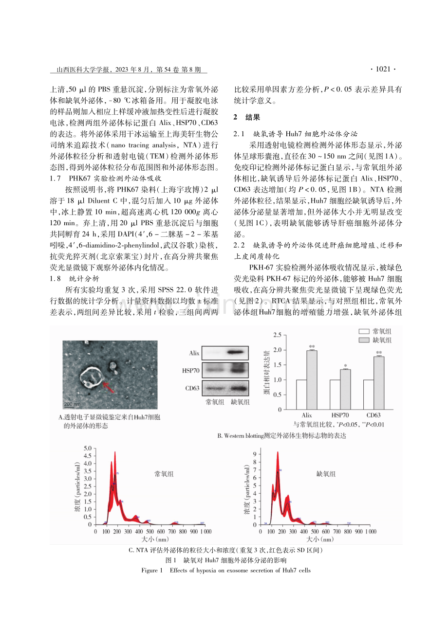 缺氧诱导的外泌体活化自噬促进肝癌进展.pdf_第3页