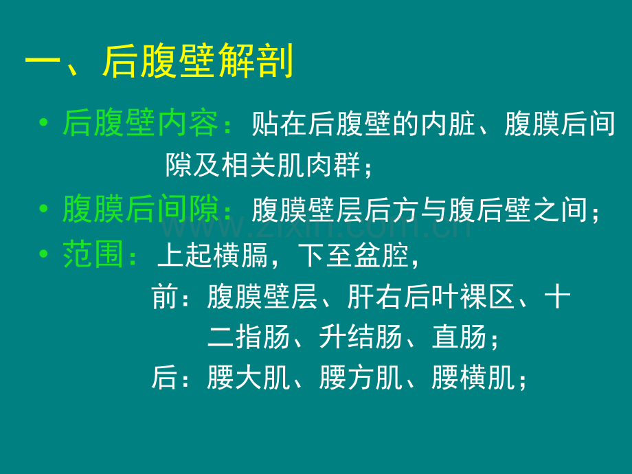 腹膜后、大血管及肾上腺的超生诊断.ppt_第3页