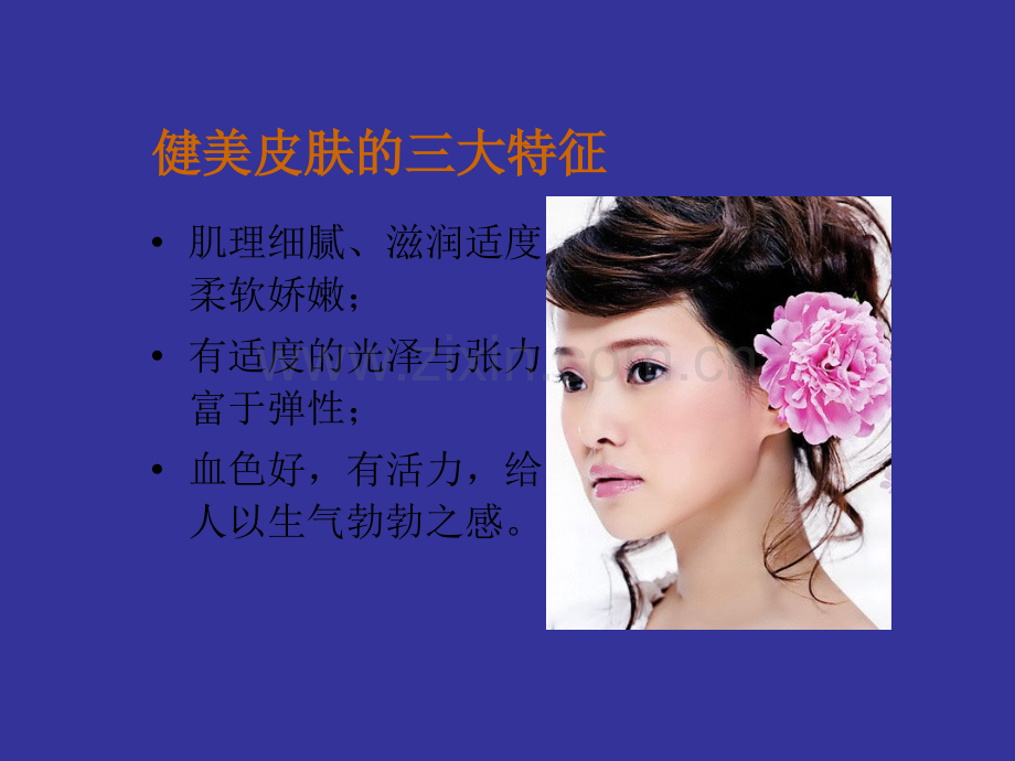 常见皮肤病的治疗与美容.ppt_第2页