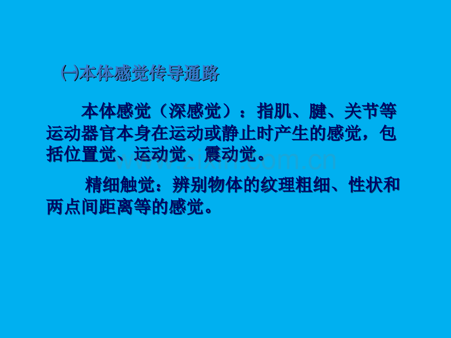 肢体的感觉传导通路ppt课件.ppt_第3页