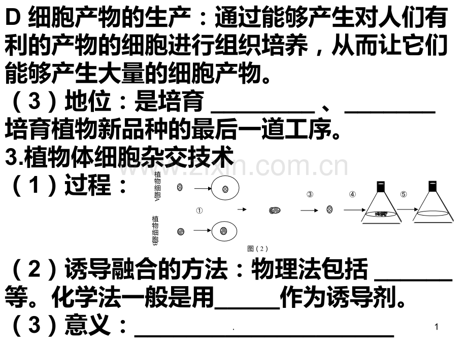 体验制备细胞膜的方法PPT课件.ppt_第1页