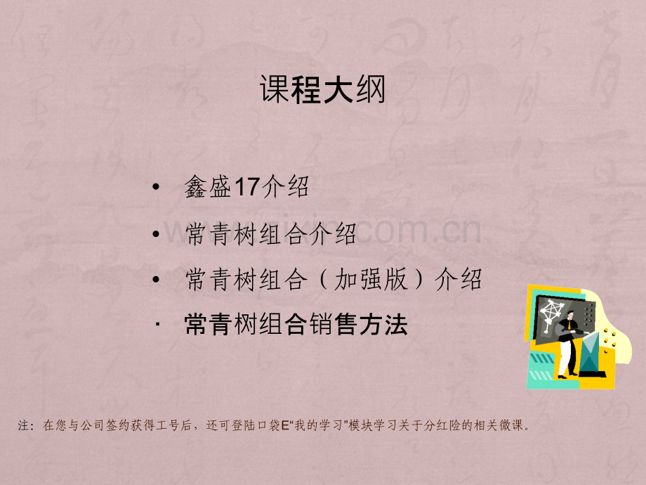 鑫盛及产品组合介绍.ppt_第2页