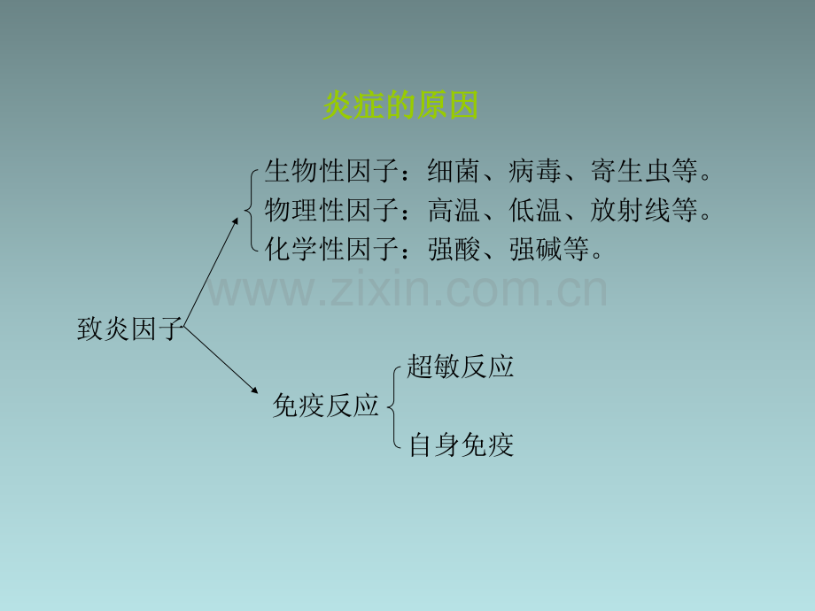 动物病理学炎症ppt课件.ppt_第3页