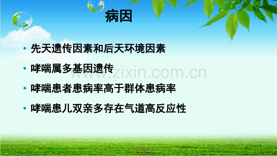 支气管哮喘哮喘-.ppt_第3页