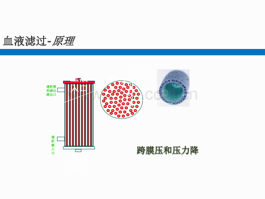 血液净化技术ppt课件.pptx_第3页