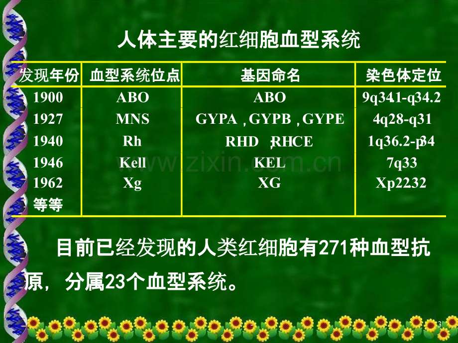 医学遗传学免疫遗传学PPT课件.ppt_第3页