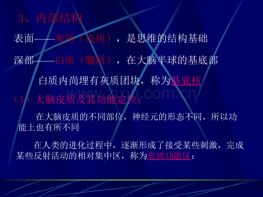 端脑内构.ppt_第2页