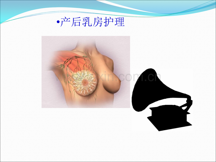 产后乳房护理.ppt_第1页