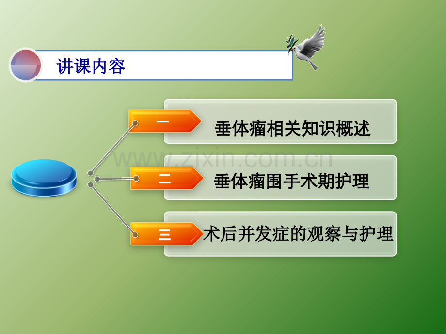 垂体瘤围手术期护理ppt课件.ppt_第2页