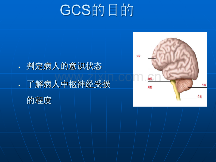 GCS评分实施细则及要点说明.ppt_第3页