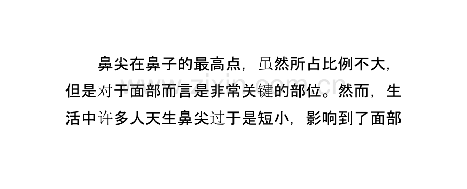 整形鼻尖延长需要多少钱PPT课件.ppt_第1页