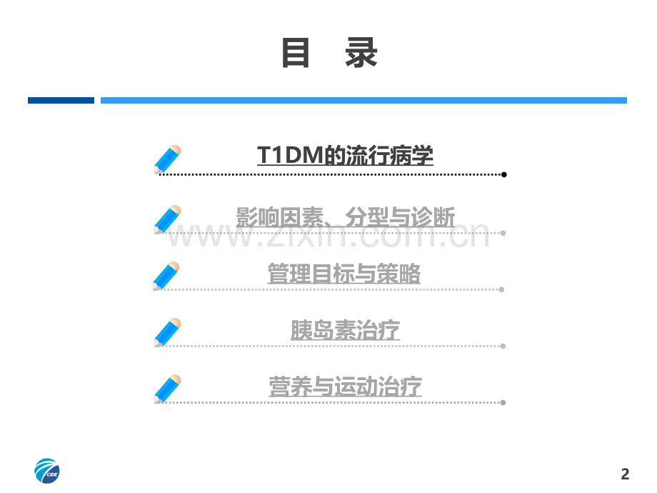 1型糖尿病ppt课件.pptx_第2页