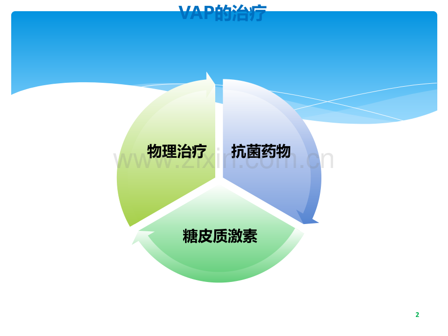 VAP指南治疗篇ppt课件.ppt_第2页