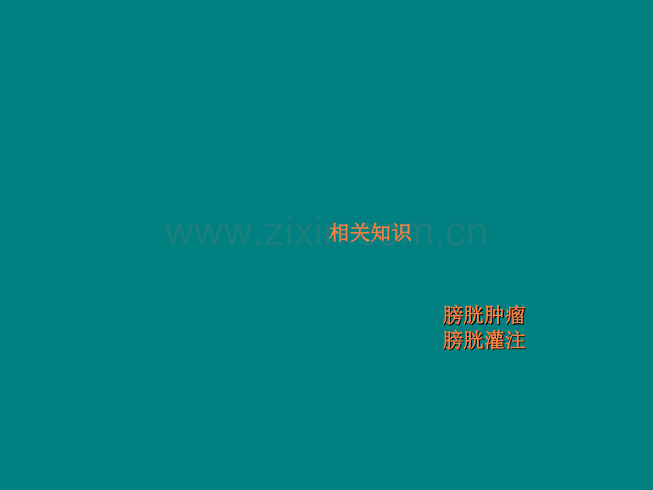 膀胱灌注ppt课件.ppt_第1页