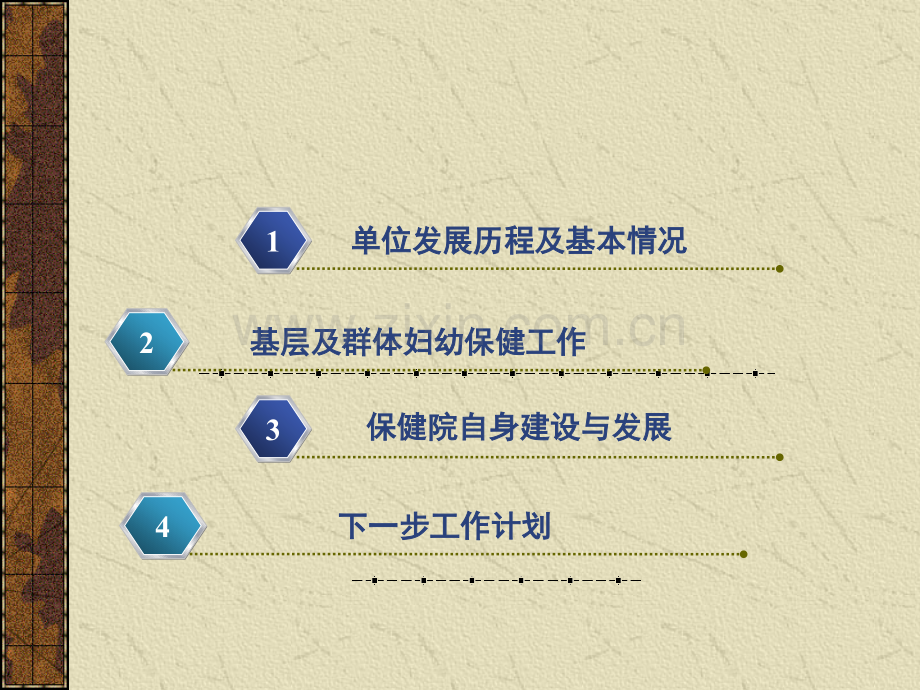 保健院汇报材料ppt.ppt_第3页