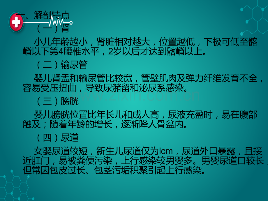 第十一章急性肾小球肾炎ppt课件.ppt_第2页