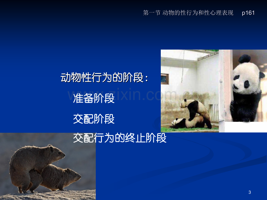 性生理心理PPT课件.ppt_第3页