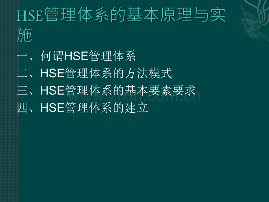 HSE管理体系的基本原理.ppt_第2页