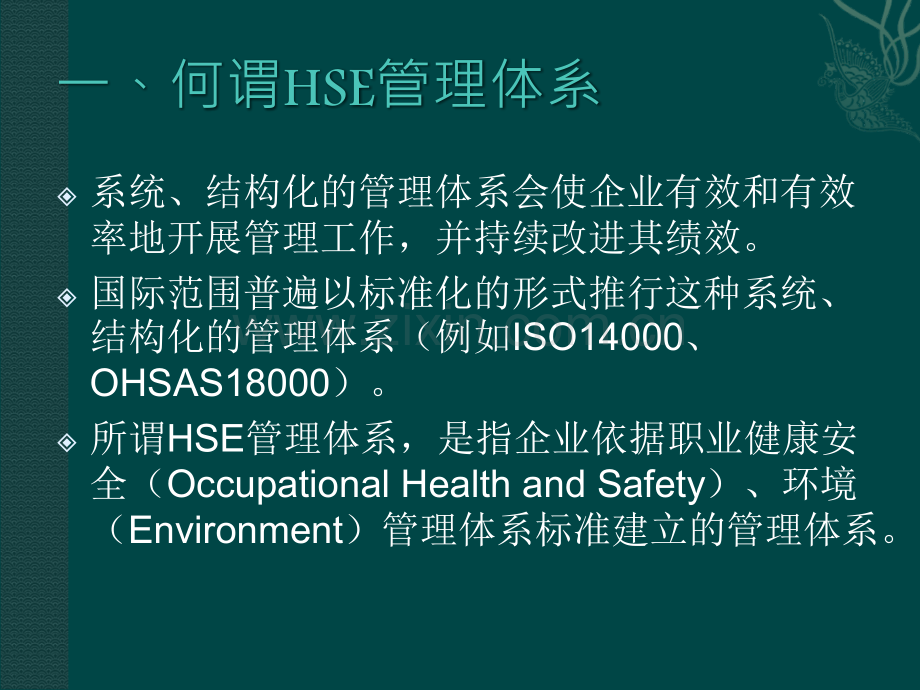 HSE管理体系的基本原理.ppt_第3页