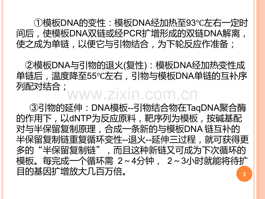 pcr的发展历程PPT课件.ppt_第3页